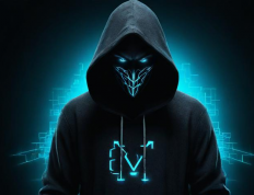 在HackerRank找到真正的黑客「哪里能找到真正的黑客」